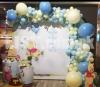 Balloons decoration and Jamping castle Birthday decoration Theme party