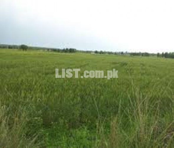 Agricultural Land Available For Rent