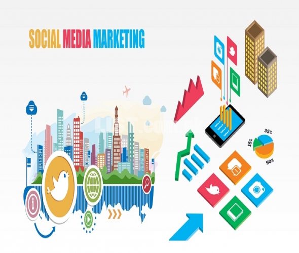 Social Media Optimization Services in Lahore