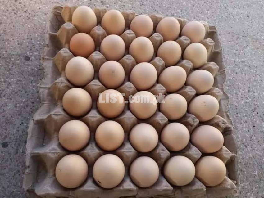 Desi Fresh Eggs