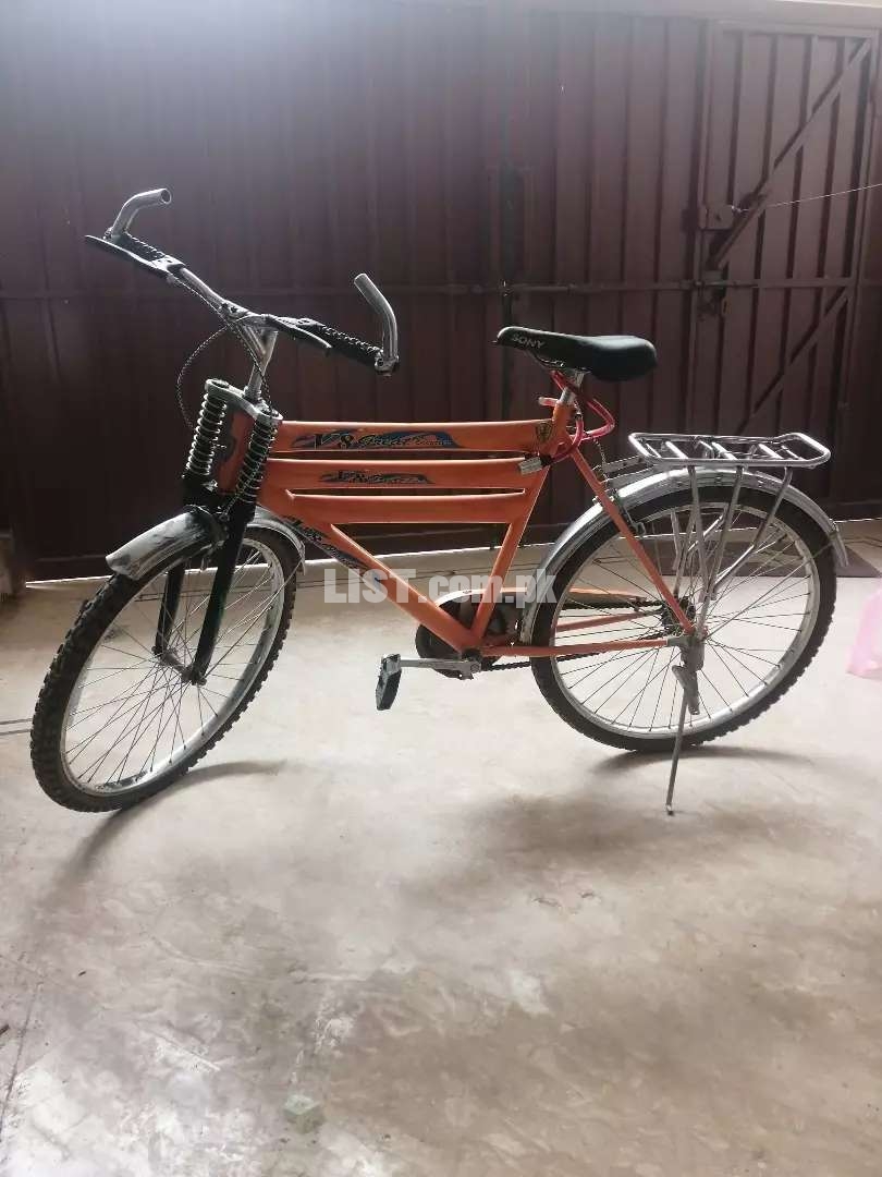 Bicycke Great (Pakistani)