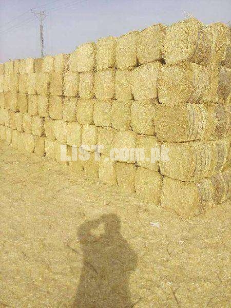 Stocked Toori/Bhoosa/Wheat Straw For Sale (100 Ton - Lahore)