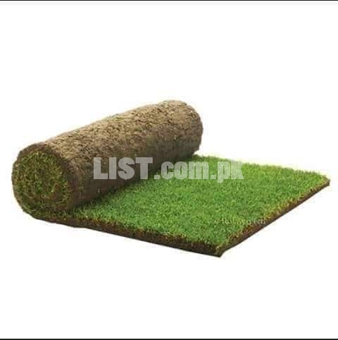 Grass Korean sqft , natural korean grass, koren carpet, american grass