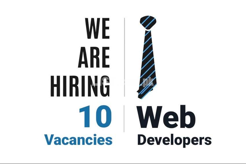 10 Vacancies: Experienced Web Developer
