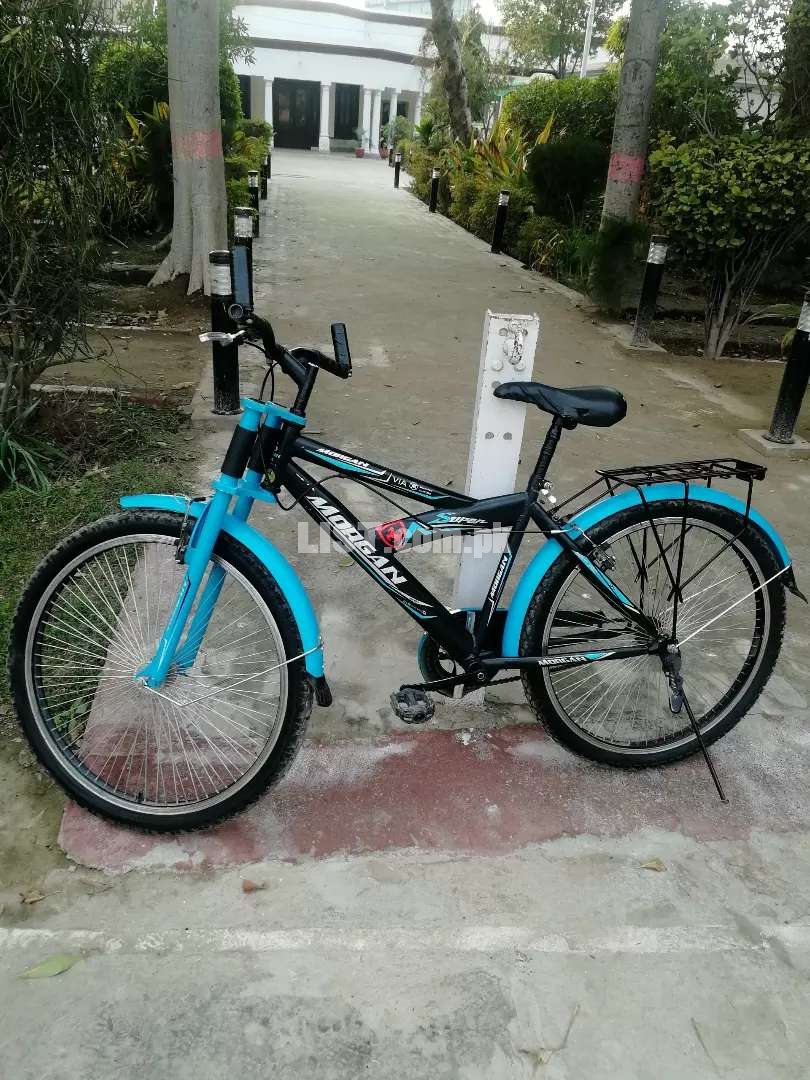 Chinese Cycle