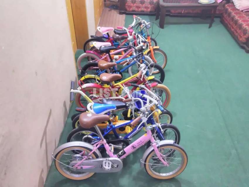 BICYCLES( IMPORTED )