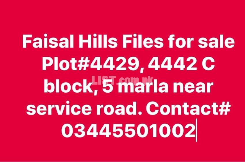 Faisal Hills C Block, New files