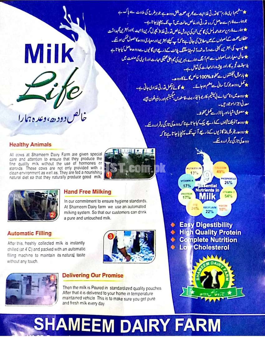 100% Fresh Pure Australian Cow Milk in Faisalabad Now