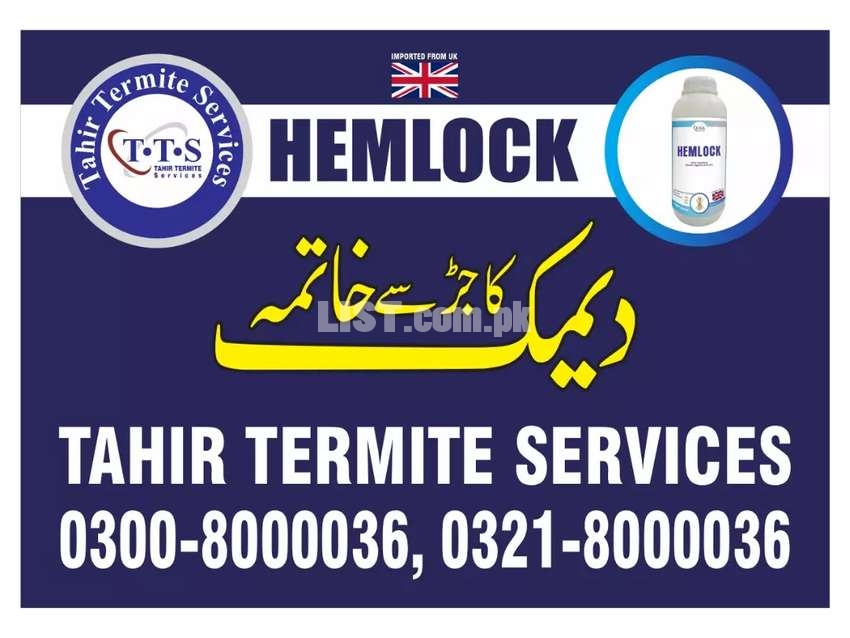 Termite Control Lahore | Pest Control Lahore | Tahir Termite Service