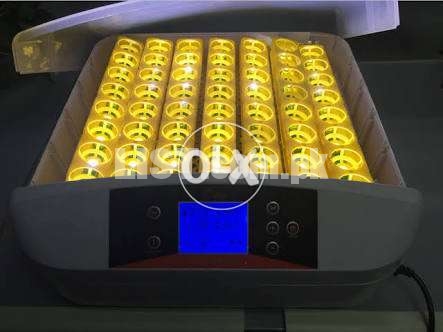 Poultry 56 Egg Turning Incubator-1 Year Warranty-FREE Cash On Delivery