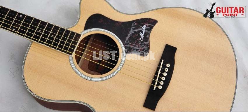 Faslabad Offer 30-50% Discount On All Guitars Free bag Picks Strings