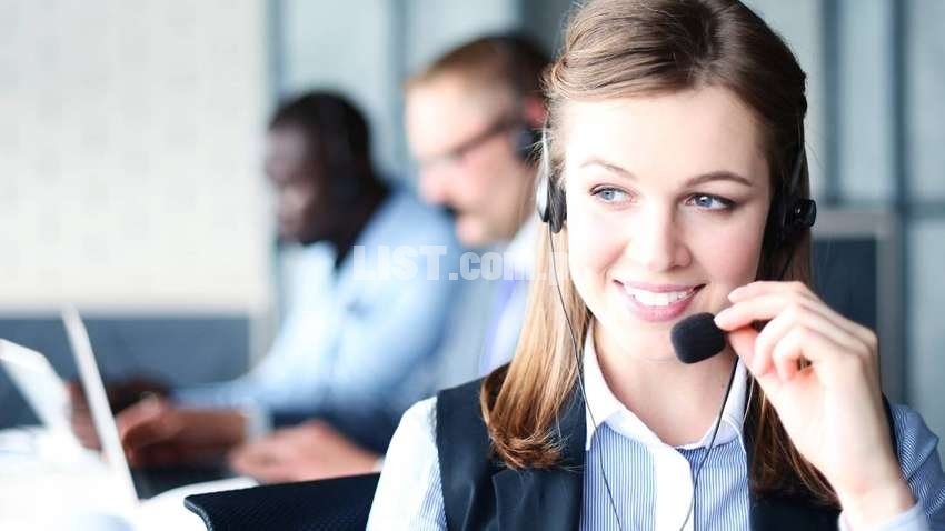 Communication Officer/ Customer Support Lead Required