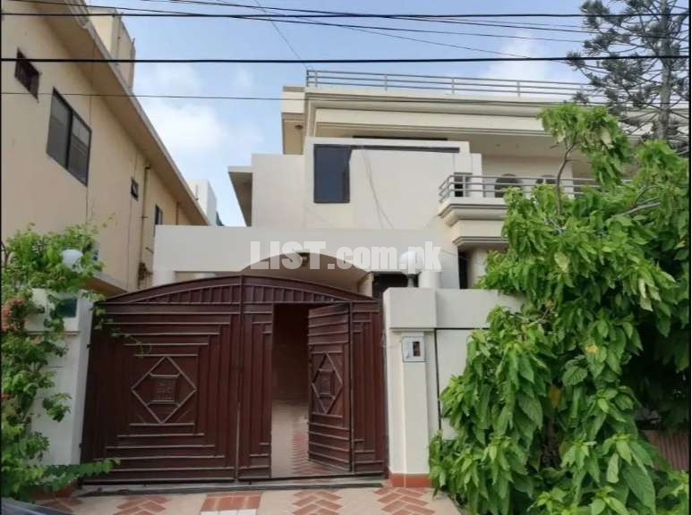 1000 Sq Yards House For Rent, With Separate Gate