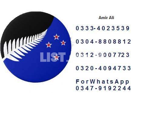 New Zealand visit visa, best visa ratio.