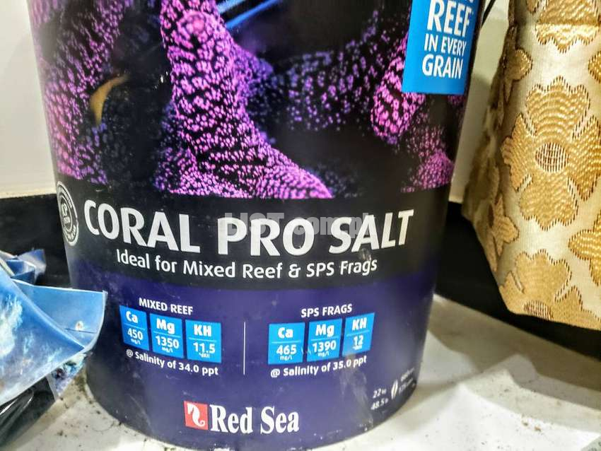 Red Sea Coral Pro Salt, bucket (22Kg) for Saltwater/ Marine aquarium