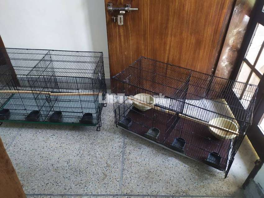Bird Cage or Pinjara