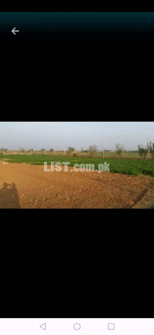900 kanal agriculture land in kalar kahar chakwal