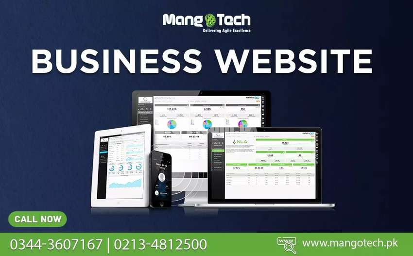 Website development & designing Corporate business website in Pakistan