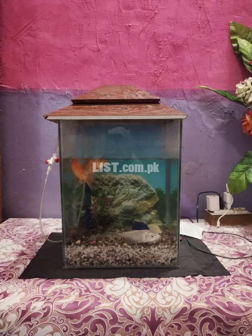 Aquarium without fishes