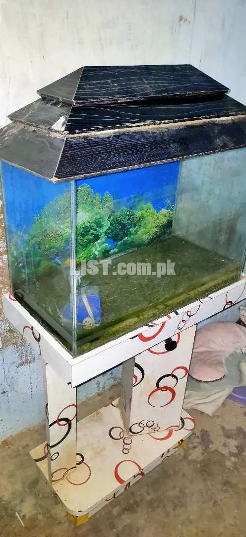 Aquarium with wood top stand motor light