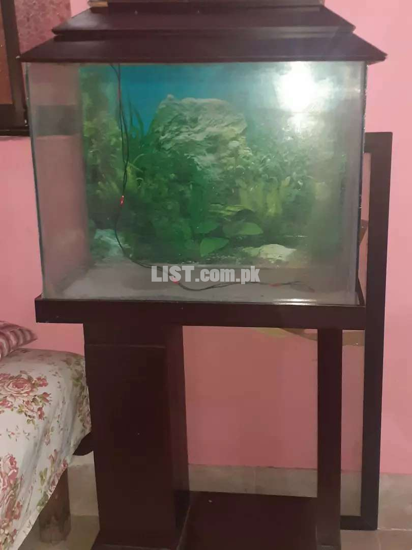 I am selling this fish aquarium ..if anyone interested then message me