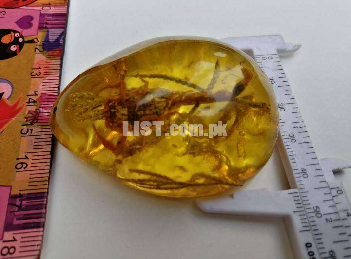Natural Amber Stone (Inside there is Real Small Scorpion)