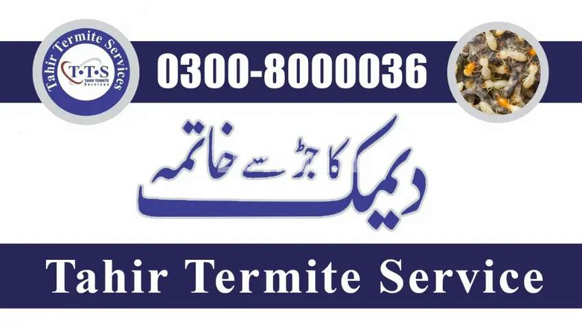 Pest Control Lahore Termite Control in Lahore Fumigation Services