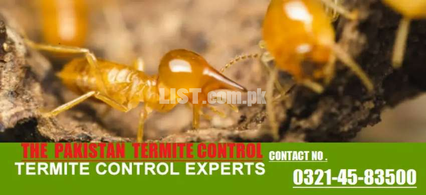 The Pakistan termite control