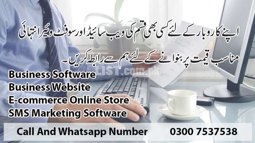 Web Application and Software Services.