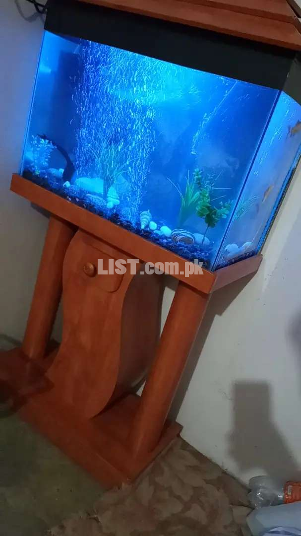 new aquarium best condition with fishes & accessories