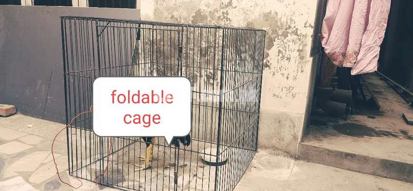 Iron cage,Per cage,Foldable cage,Aseel Cage, Aseel tokra.