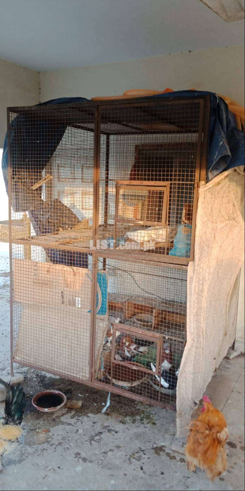 Pinjra For Sale ( Cage For All Birds, Dog Hens etc )