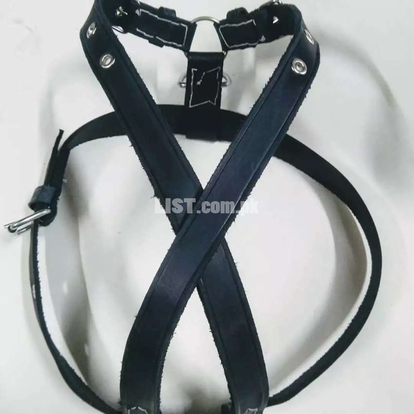 Dog belt