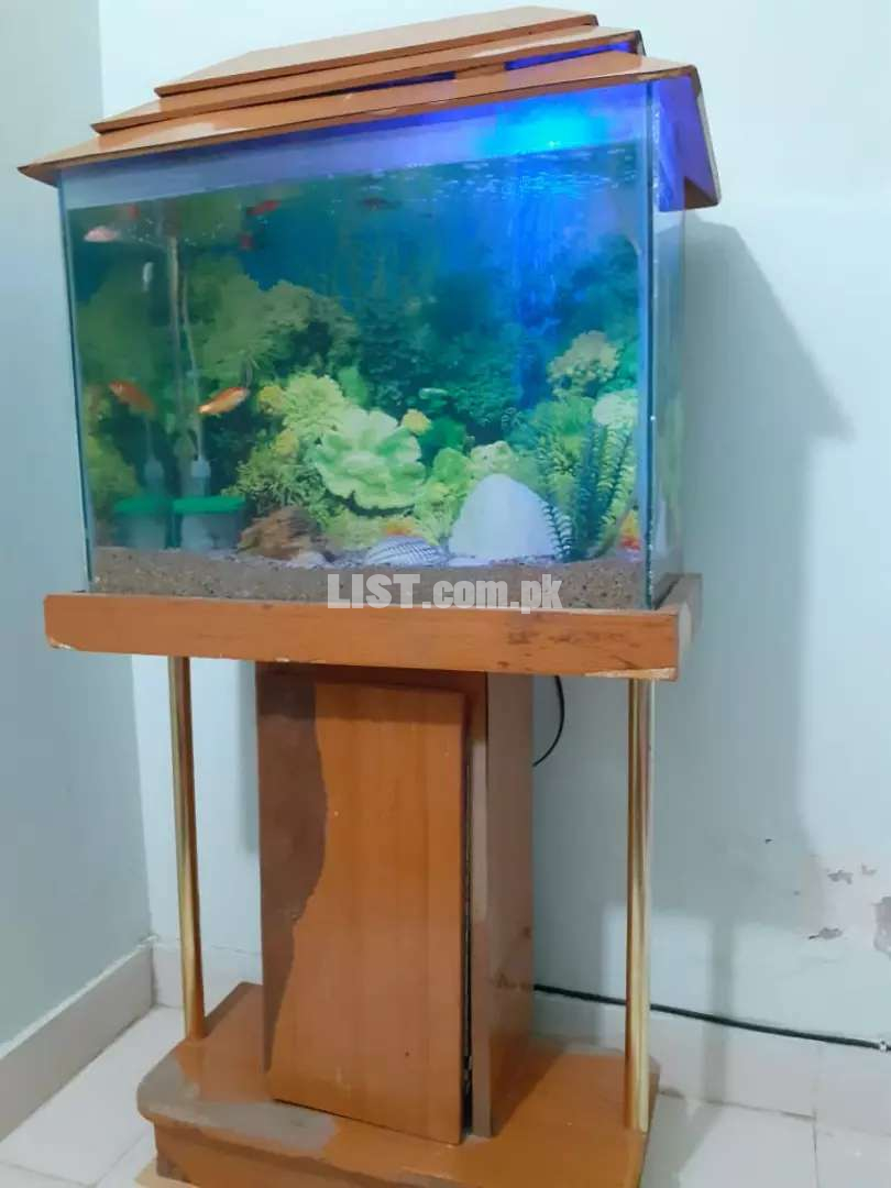 Aquarium with fishes 2.5 feets for sale