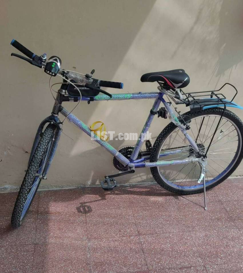 Phoenix Gears Bicycle