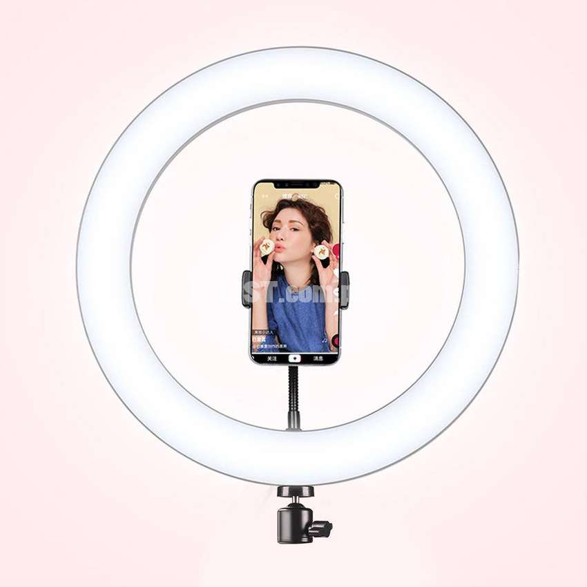 26cm / 10" Dimmable LED Ring Light Photographic Selfie Ring Light