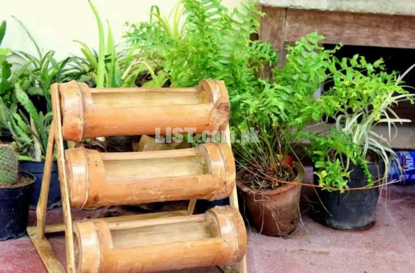 Bamboo Palnt Pot with Stand