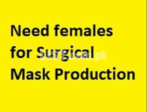 Need Female for surgical Mask Production