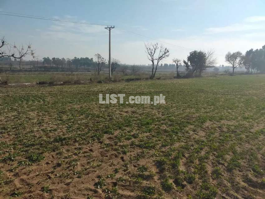 Agriculture land for sell