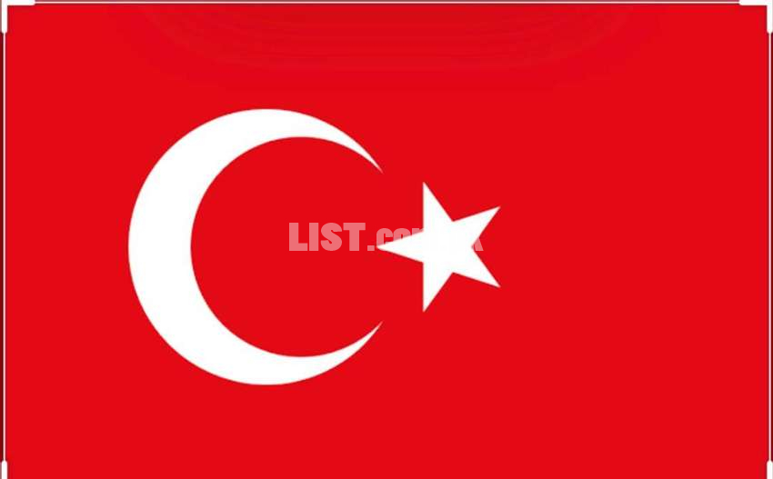 Turkey visit visa in 15 days