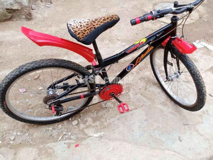 Cycle in new condition