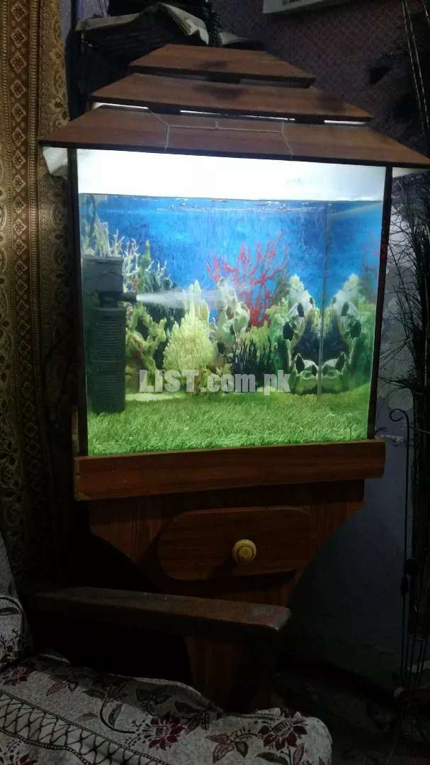 Fish aquarium urgent sale
