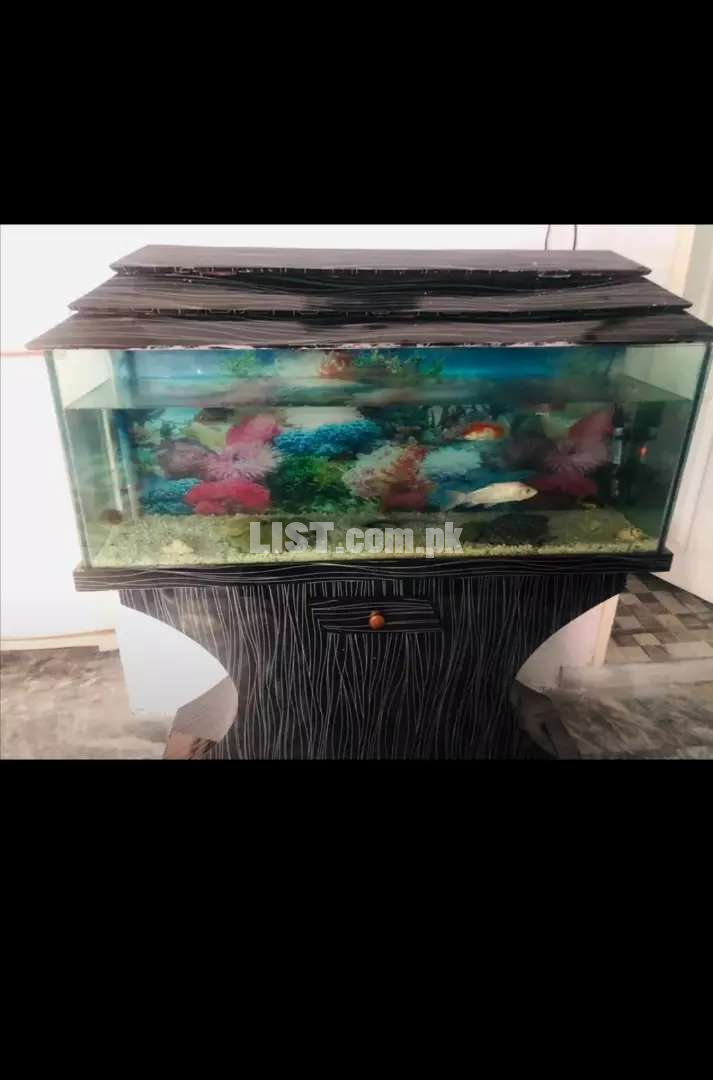 4 feet aquarium