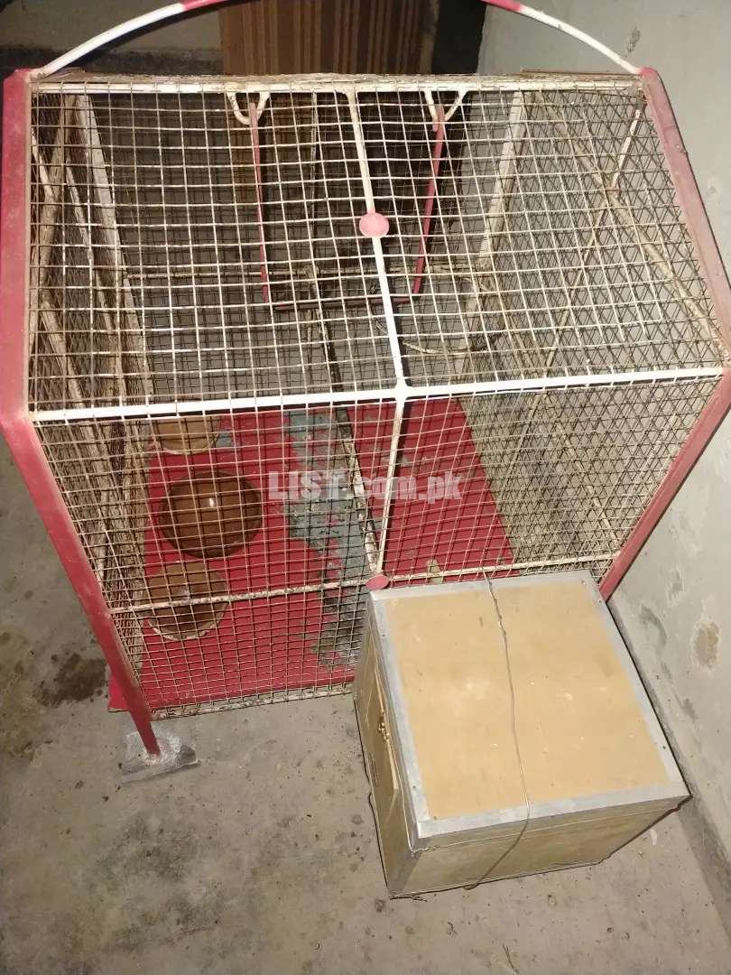 Cage 4 sale with box