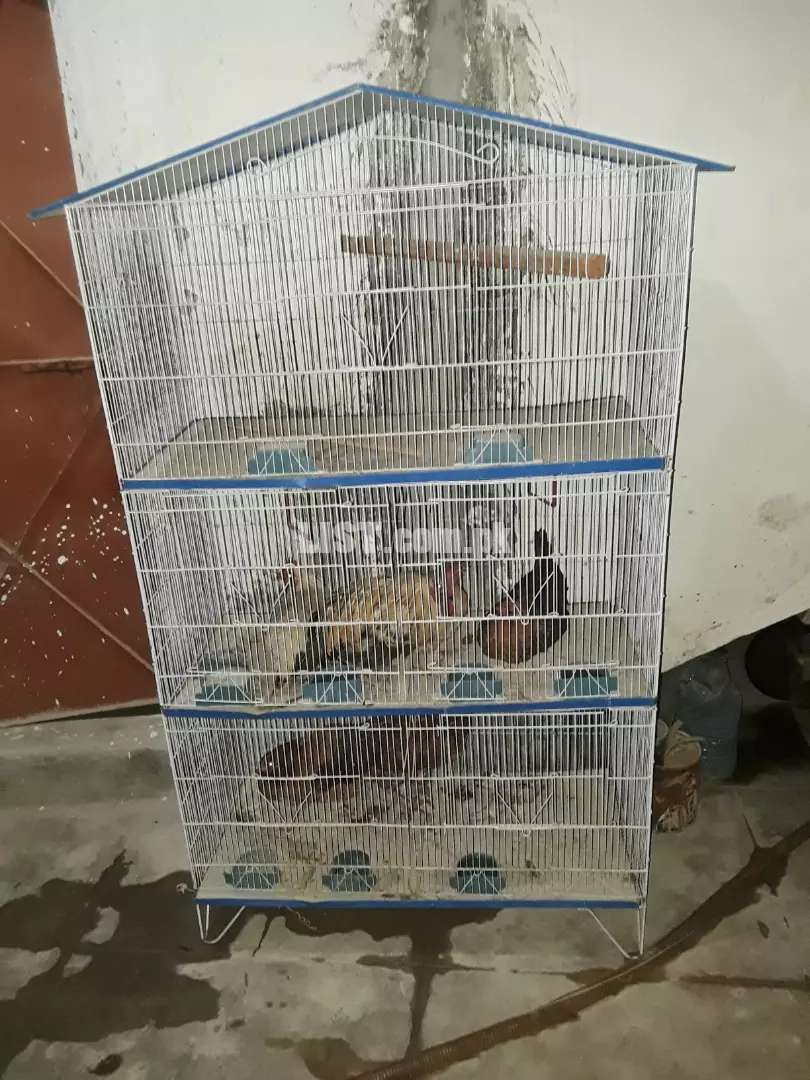 Birds Cage 6 portions 3 floors