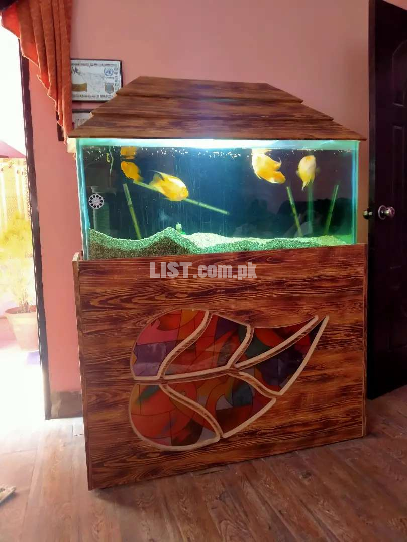 Fresh water aquarium without fishes