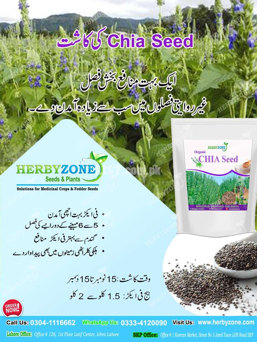 Chia Cultivation Seeds
