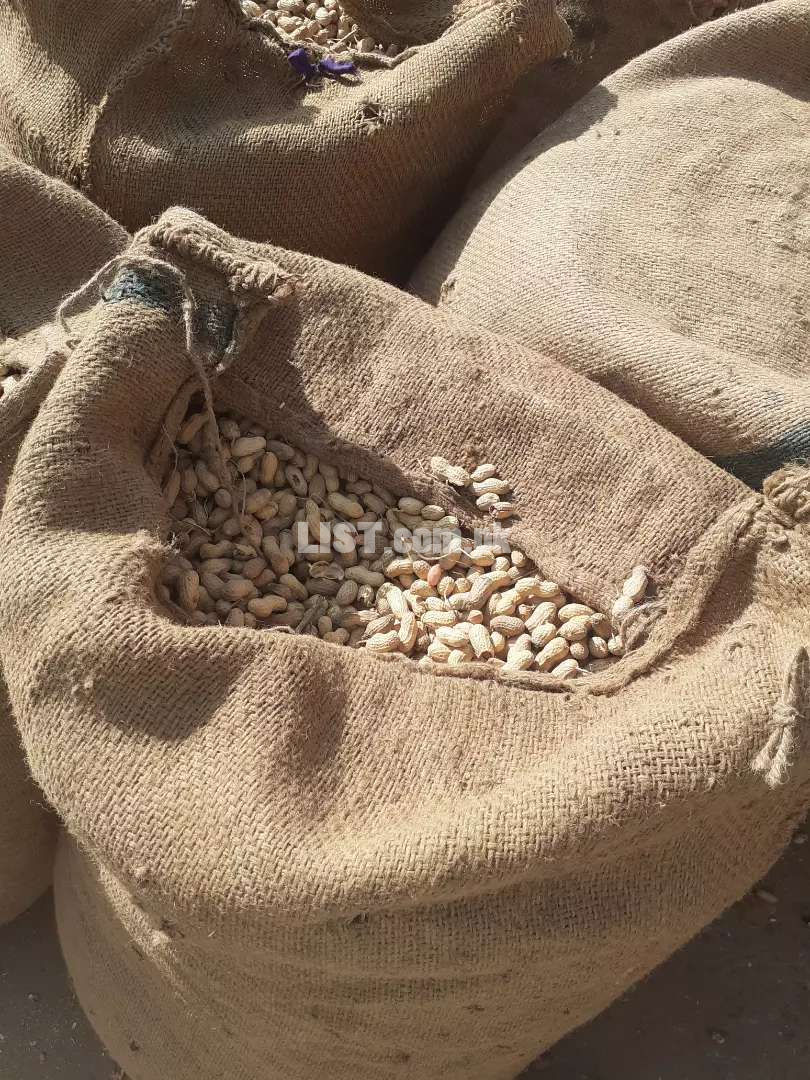Good quality peanuts available all over pakistan