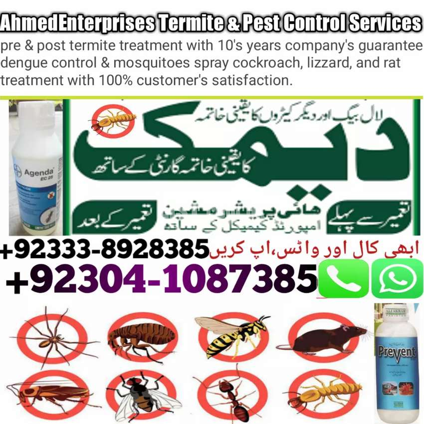 Termite Control And Pest Control