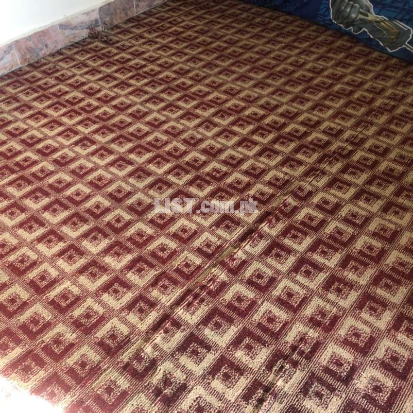 Carpet 15 x 11.5